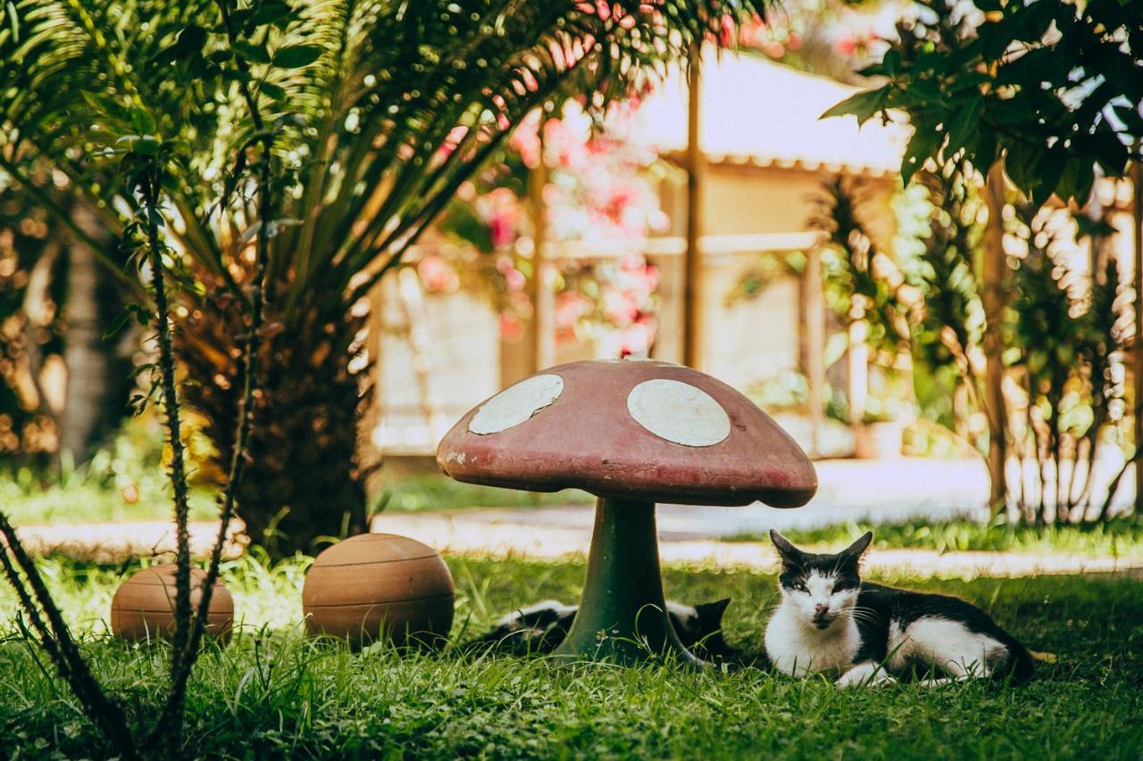 Pousada Boa Vista Barreirinhas Dış mekan fotoğraf